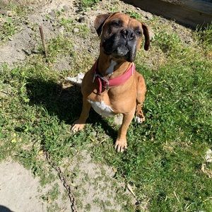 Meet your Posher, Cedrick